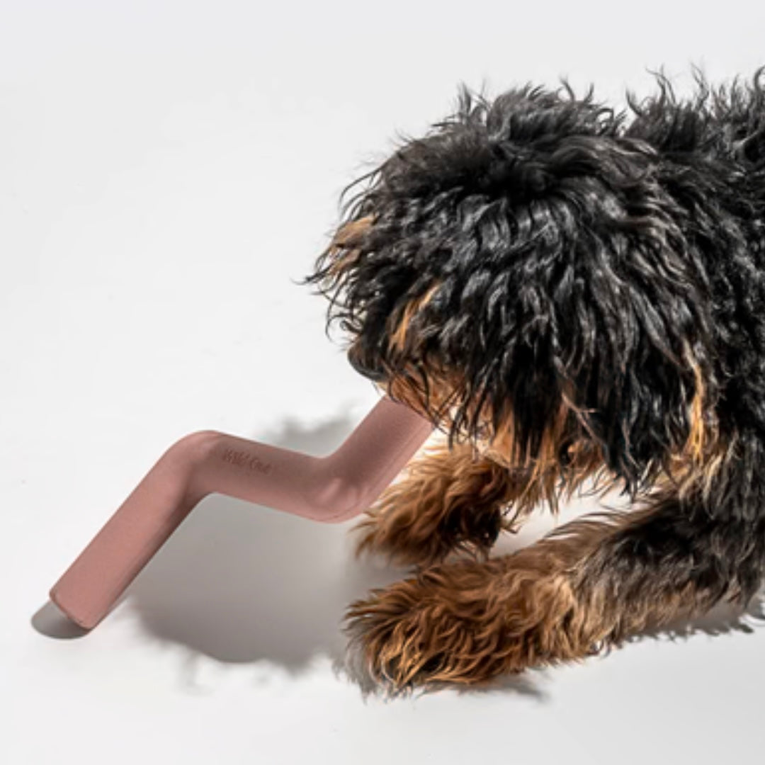 Natural Rubber Bolt Bite Dog Toy