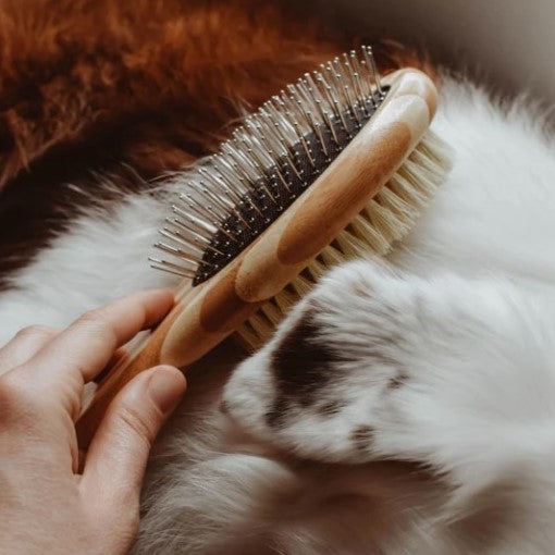 Plastic Free Two-Sided Dog Brush