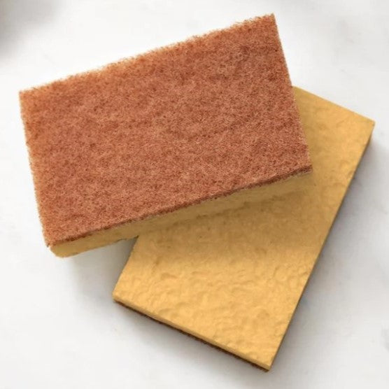Walnut Scrubbing Sponge