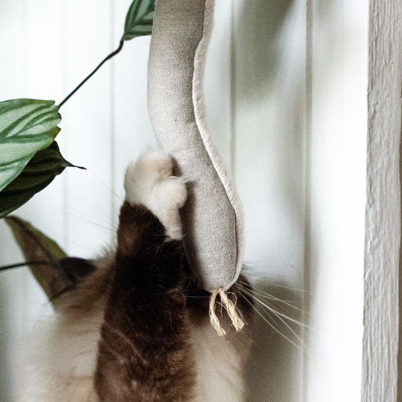 Cat Snake Toy