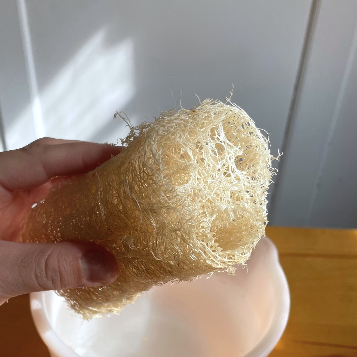 Natural Loofah