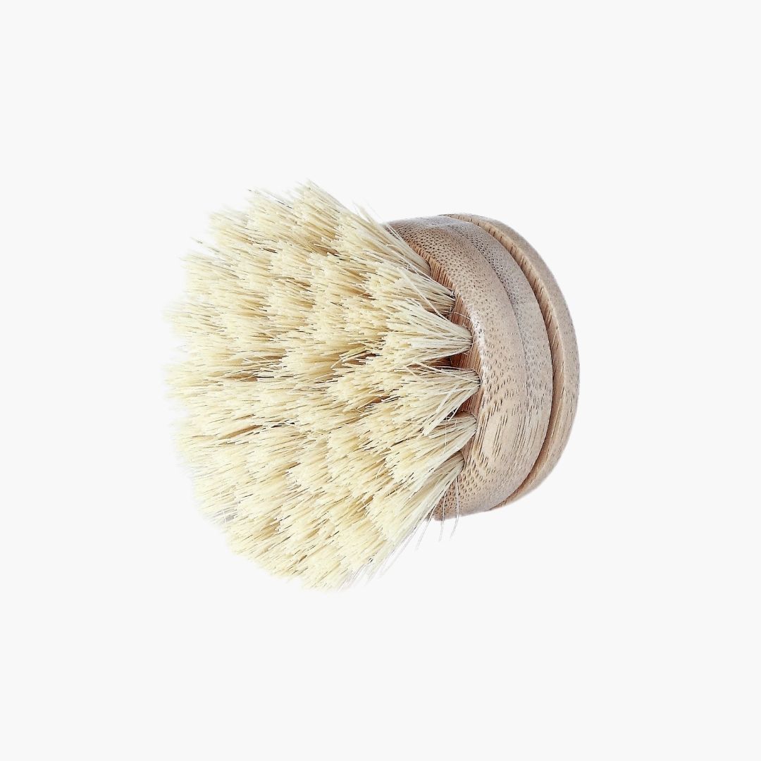 Replacement Head For Dish Brush